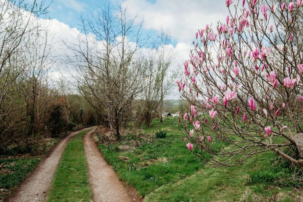Robin Nest - Cosy Shepherd'S Hut Hideaway Callington Bagian luar foto